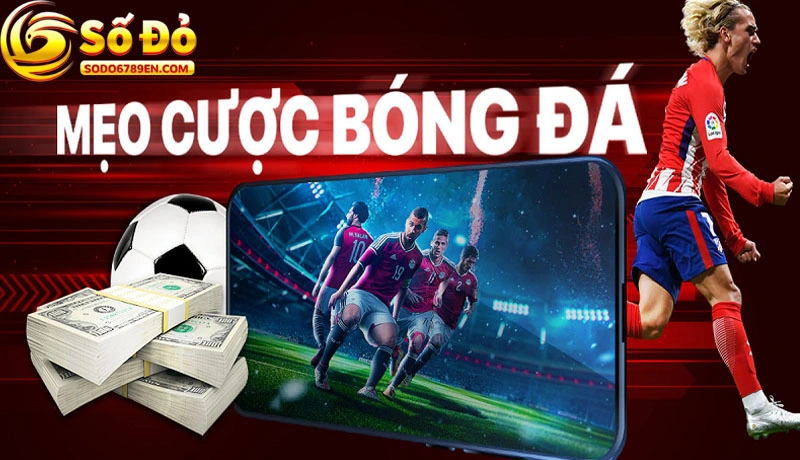 Mẹo hay soi kèo bất bại cập nhật mới nhất từ chuyên gia Sodo6789