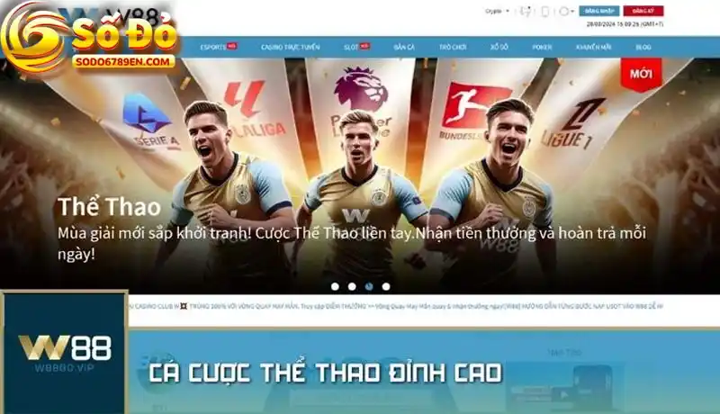 Các thương hiệu lớn như W88 mang đến trải nghiệm đẳng cấp quốc tế